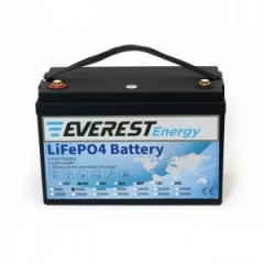 АКБ Everest Energy 24V54А