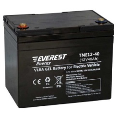 Аккумулятор Everest energy TNE 12-40