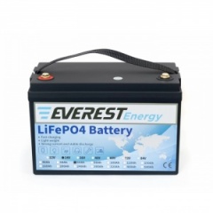 АКБ Everest Energy 24V60А + Bluetooth