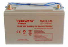 Аккумулятор Everest energy TNE 12-125
