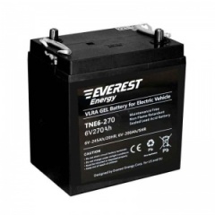 Аккумулятор Everest energy TNE 6-270