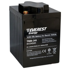 Аккумулятор Everest energy TNE 6-245
