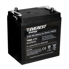 Аккумулятор Everest energy TNE 6-190