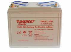 Аккумулятор Everest energy TNE 12-170