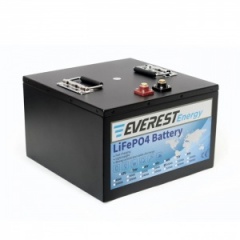 АКБ Everest Energy 24V100А + Bluetooth