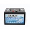 АКБ Everest Energy 24V100А + Bluetooth
