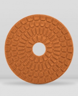 Плашки алмазные FLEXIBLE DISC, 100х20 мм (зерно 30-10000)