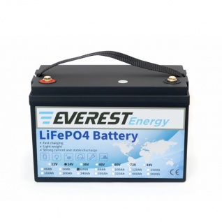 АКБ Everest Energy 24V60А + Bluetooth