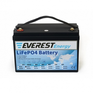 АКБ Everest Energy 24V50А