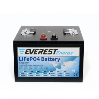 АКБ Everest Energy 24V100А