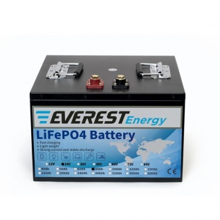 АКБ Everest Energy 24V80А