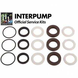 Ремкомплект Interpump Kit 274